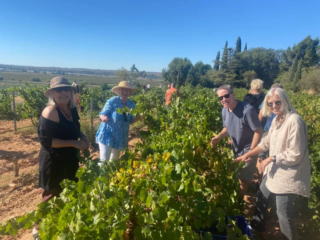 Valencia Wine Consulting & Tours