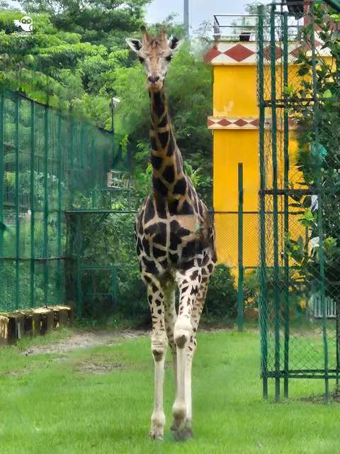 Harinalaya Eco Park Zoo