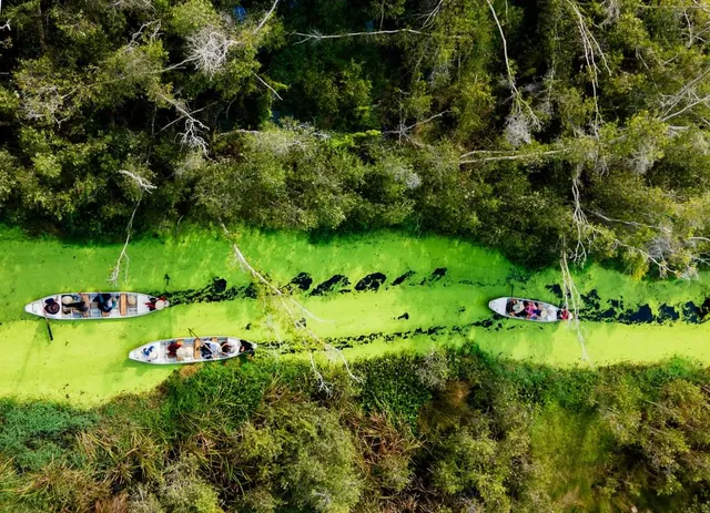 Làng Nổi Tân Lập