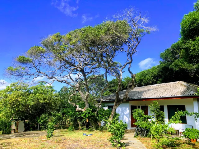 A Rocha Eco Lodge & Conservation Centre