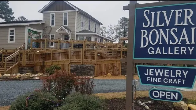 Silver Bonsai Gallery