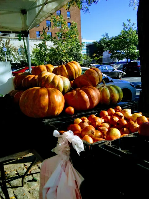 Bronx Borough Hall Greenmarket