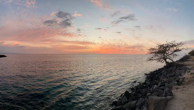 Pua Ka 'Ilima 'O Kawaihae Cultural Surf Park