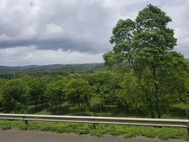 Aparta Hotel Los Pinos