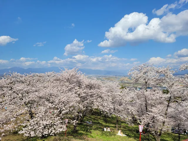 大法師公園 展望台