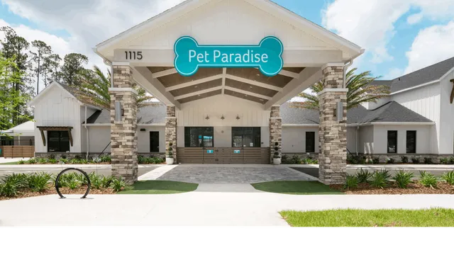 Pet Paradise Amelia