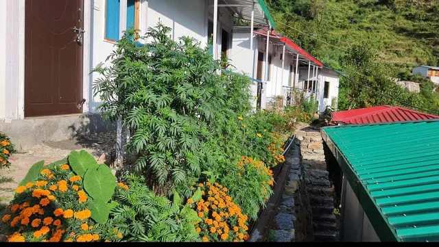 Maangal Vedic Resort