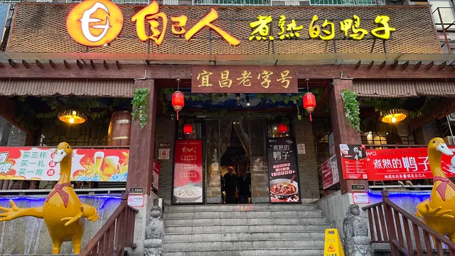 Zi Ji Ren Zhu Shu De Duck