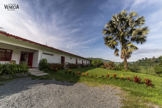 Hacienda Venecia Coffee Farm Experience