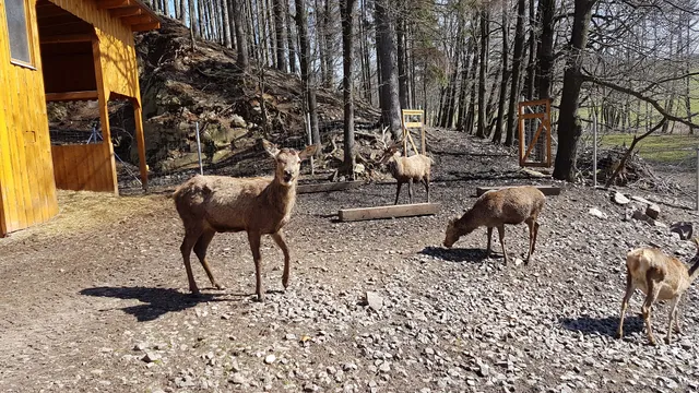 Wildgehege an der Mondscheinmühle