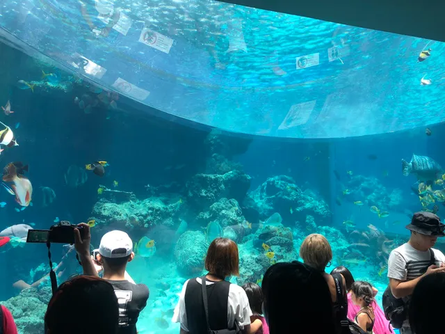 海洋博公園管理センター 沖縄美ら海水族館魚類課
