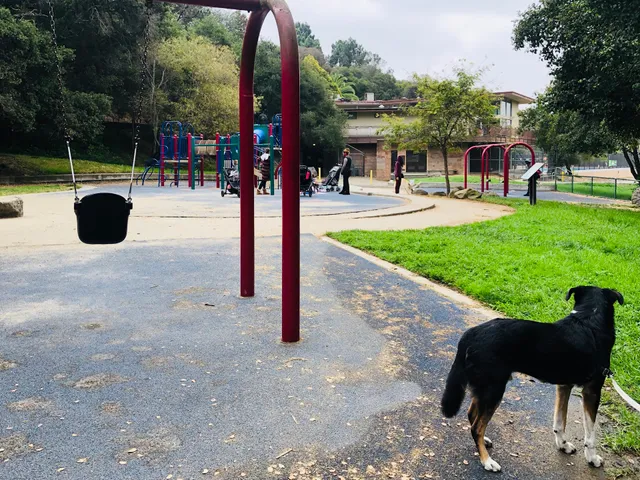 Dimond Park Playground