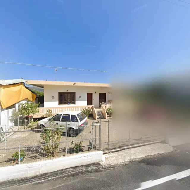 Orange tree farm Skines