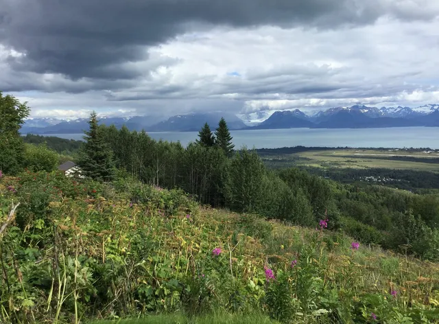 Aloha Bed and Breakfast