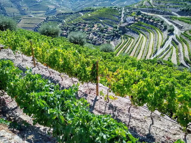 Quinta do Monte Bravo