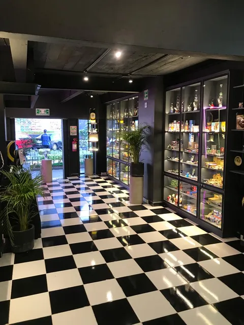 Black Monkey Zona Rosa