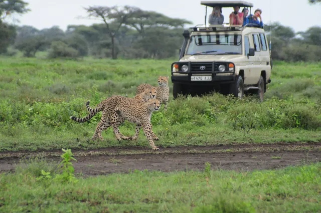 MOAK TANZANIA SAFARIS