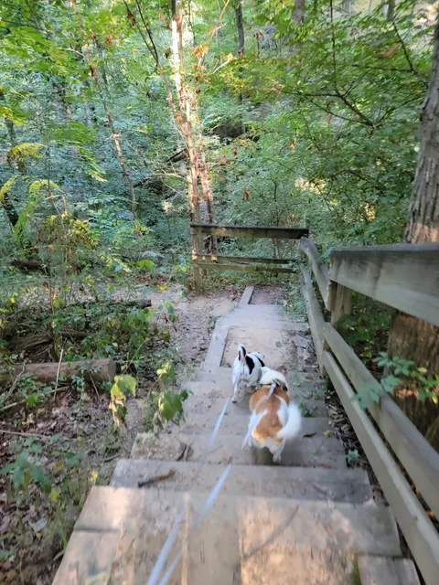 Huntington Art Museum Trails Gate