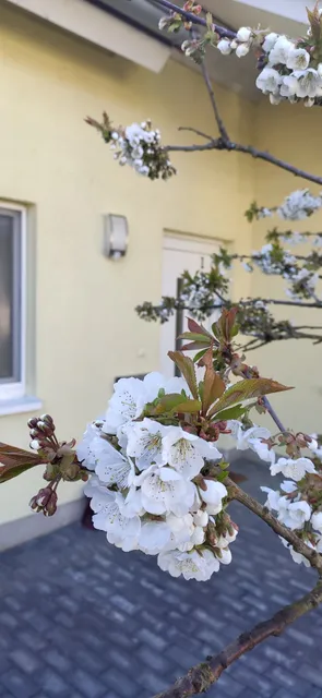 Freistehendes Ferienhaus Casa Uno Göhren-Lebbin