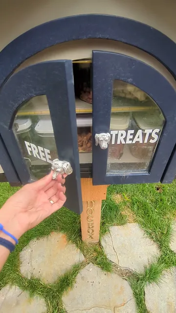 Little Free Dog Box