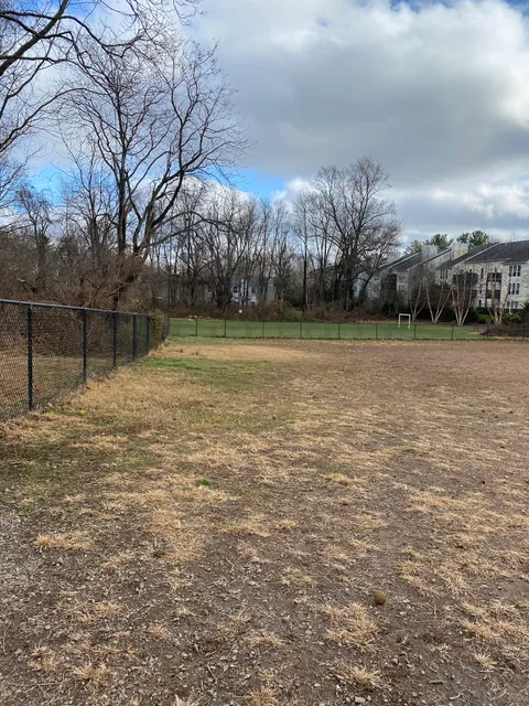 Blake Ln Dog Park Parking