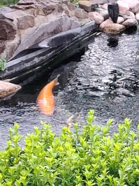 Ferienwohnung Uschkereit