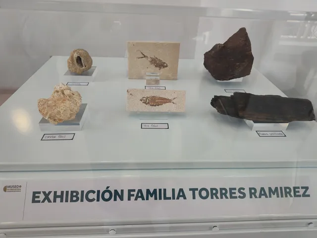 Museo de Historia Natural Puerto Rico