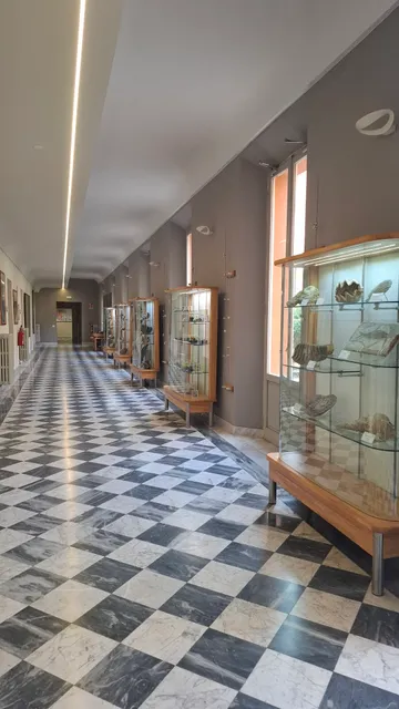 Department of Earth Sciences