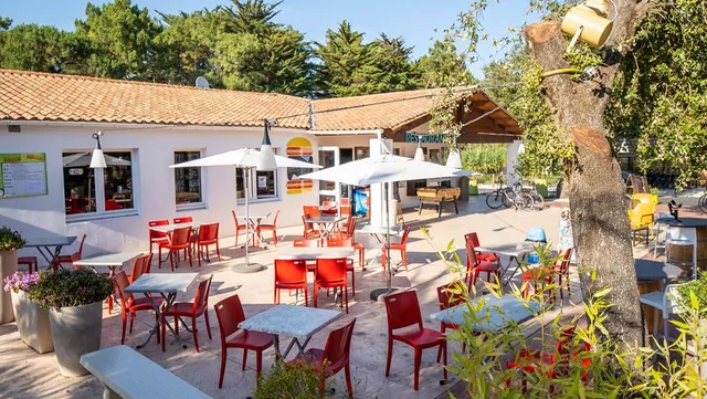 Camping White Island