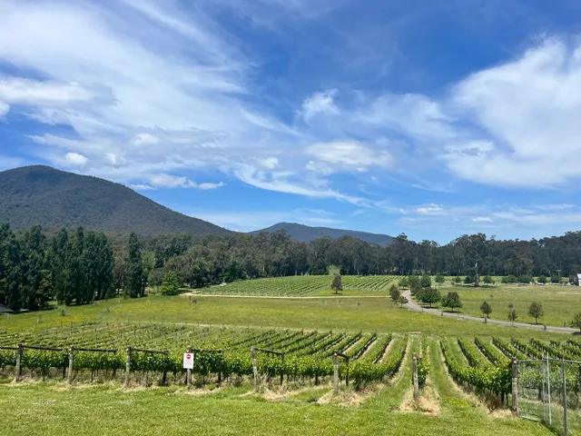 Gather Yarra Valley