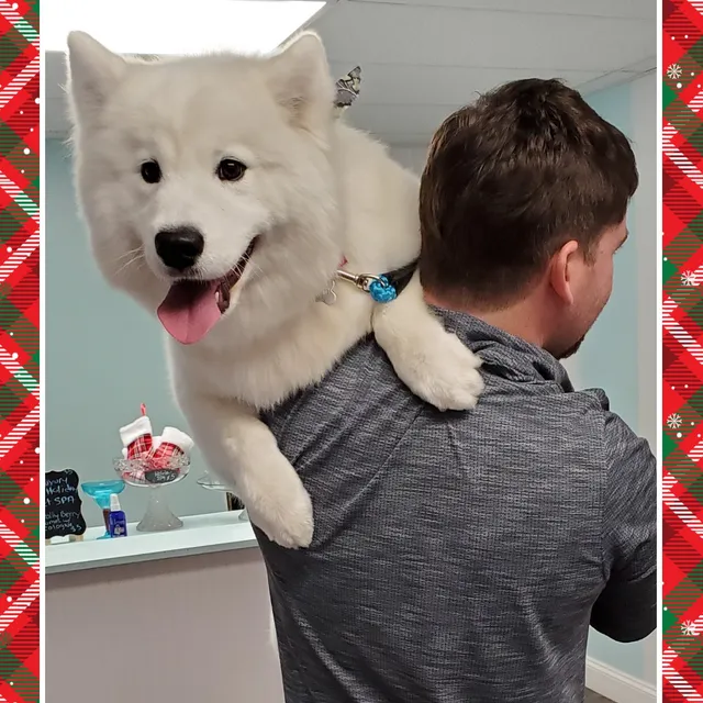 Miss Doolittles - Deer Lake