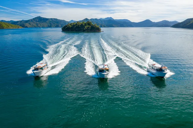 Picton Water Taxis