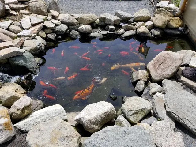 Plymouth County Farm