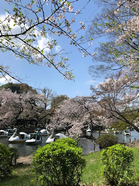 Inokashira Park Outdoor Stage