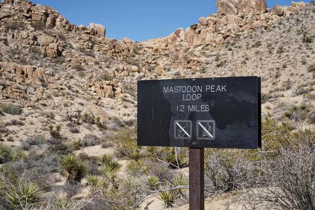 Mastodon Peak Loop Trail