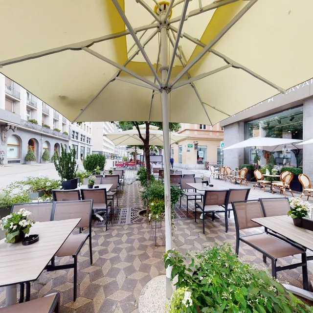 Kavarna Zvezda, Hotel Slon