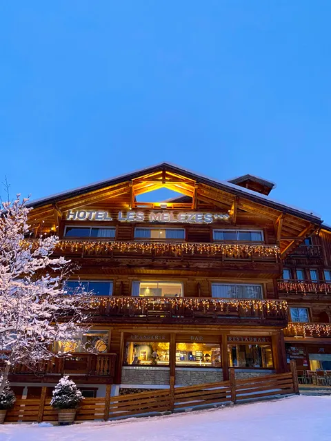 Hôtel Les Mélèzes