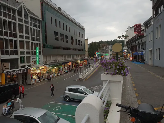 Albion Hotel Lourdes