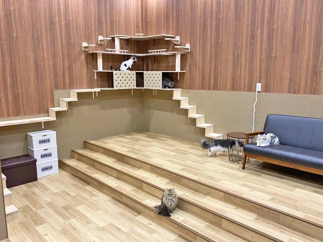 Pettoshoppu Coo & RIKU Ra Mutottorihigashiten