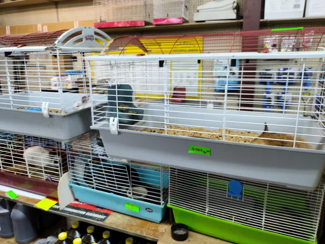 P J's Backlot Feed & Emporium