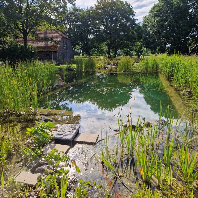 Traumkrone Ferienwohnungen