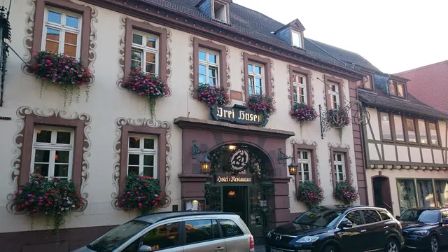 Hotel Restaurant Drei Hasen