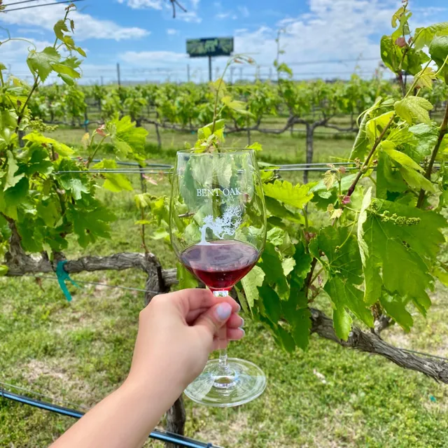 Bent Oak Collection at Fat Ass Ranch Winery & Brewery