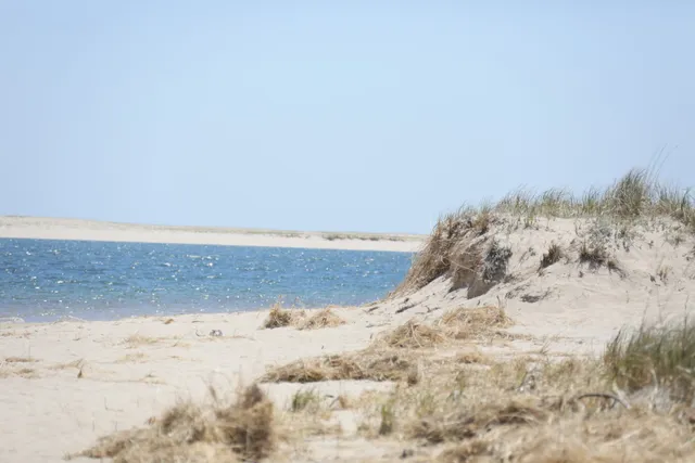 Cape Cod National Seashore