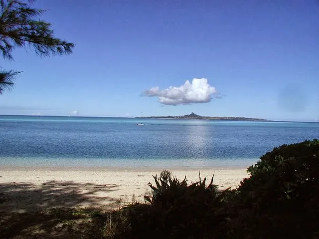 ヒートウェーブ