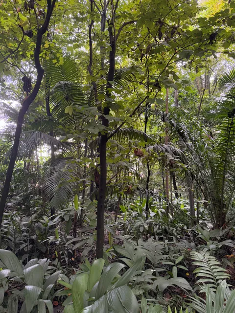 Botanico Medellin Entrance Garden