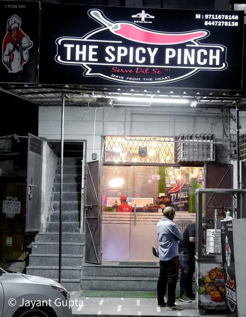 The Spicy Pinch-Best foods in delhi