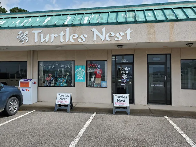 Turtles Nest