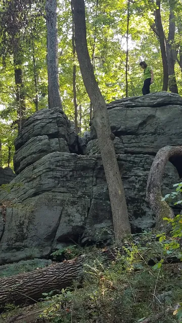 Dismal Harmony Natural Area