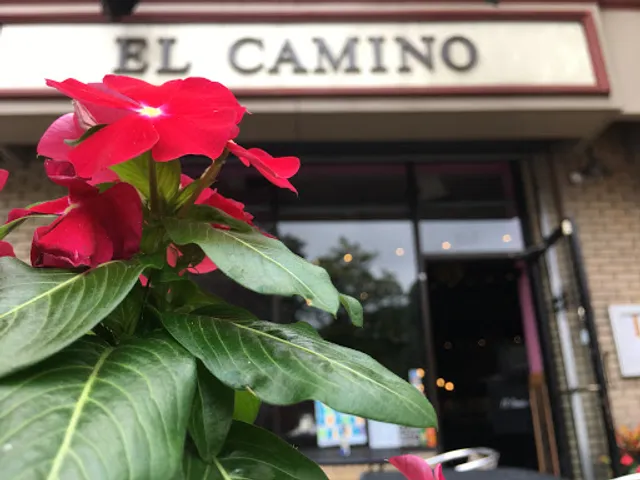 El Camino